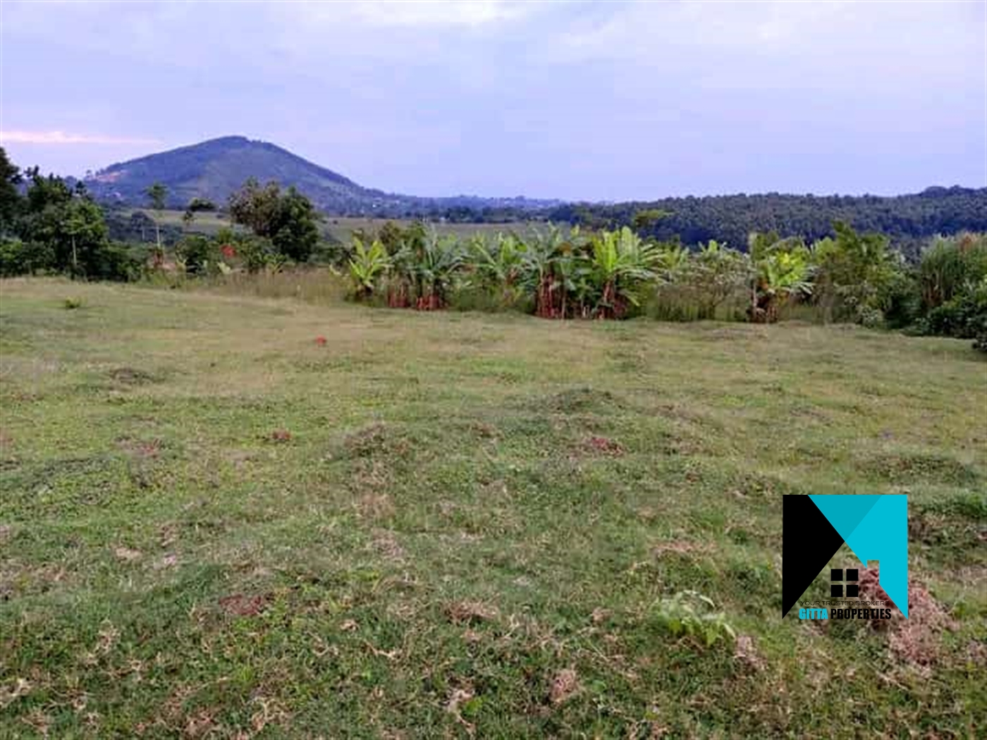 Residential Land for sale in Namusela Wakiso