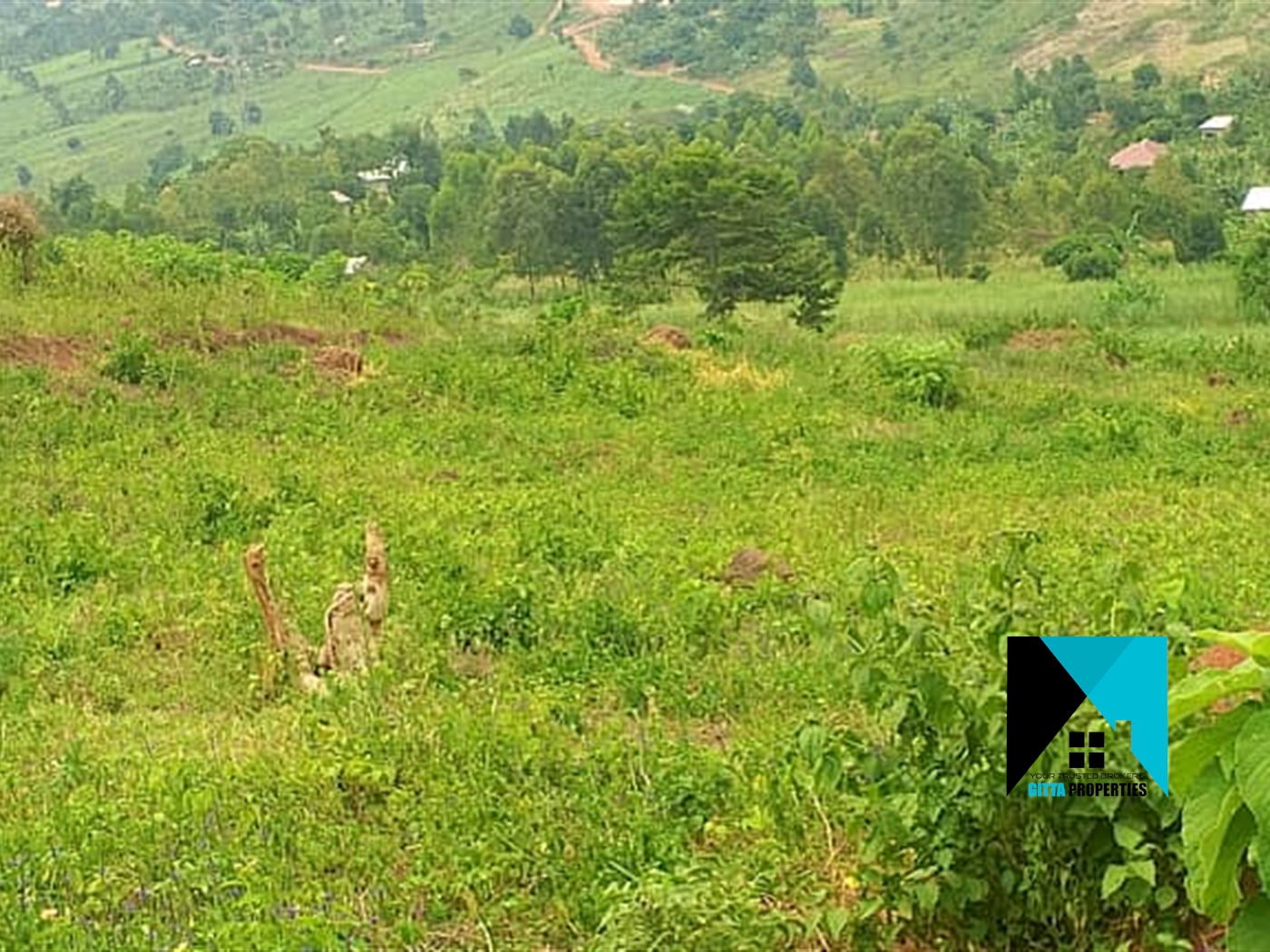 Residential Land for sale in Namataba Mukono