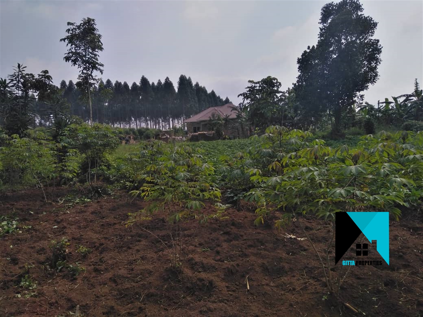 Residential Land for sale in Kyabakadde Wakiso