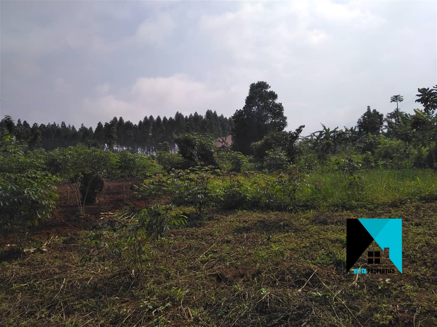 Residential Land for sale in Kyabakadde Wakiso