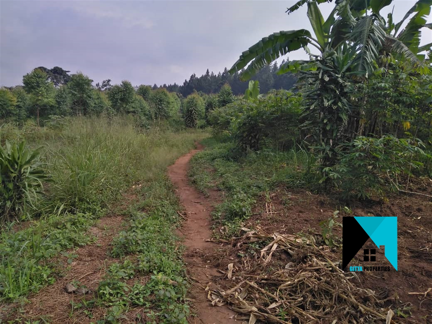 Residential Land for sale in Kyabakadde Wakiso