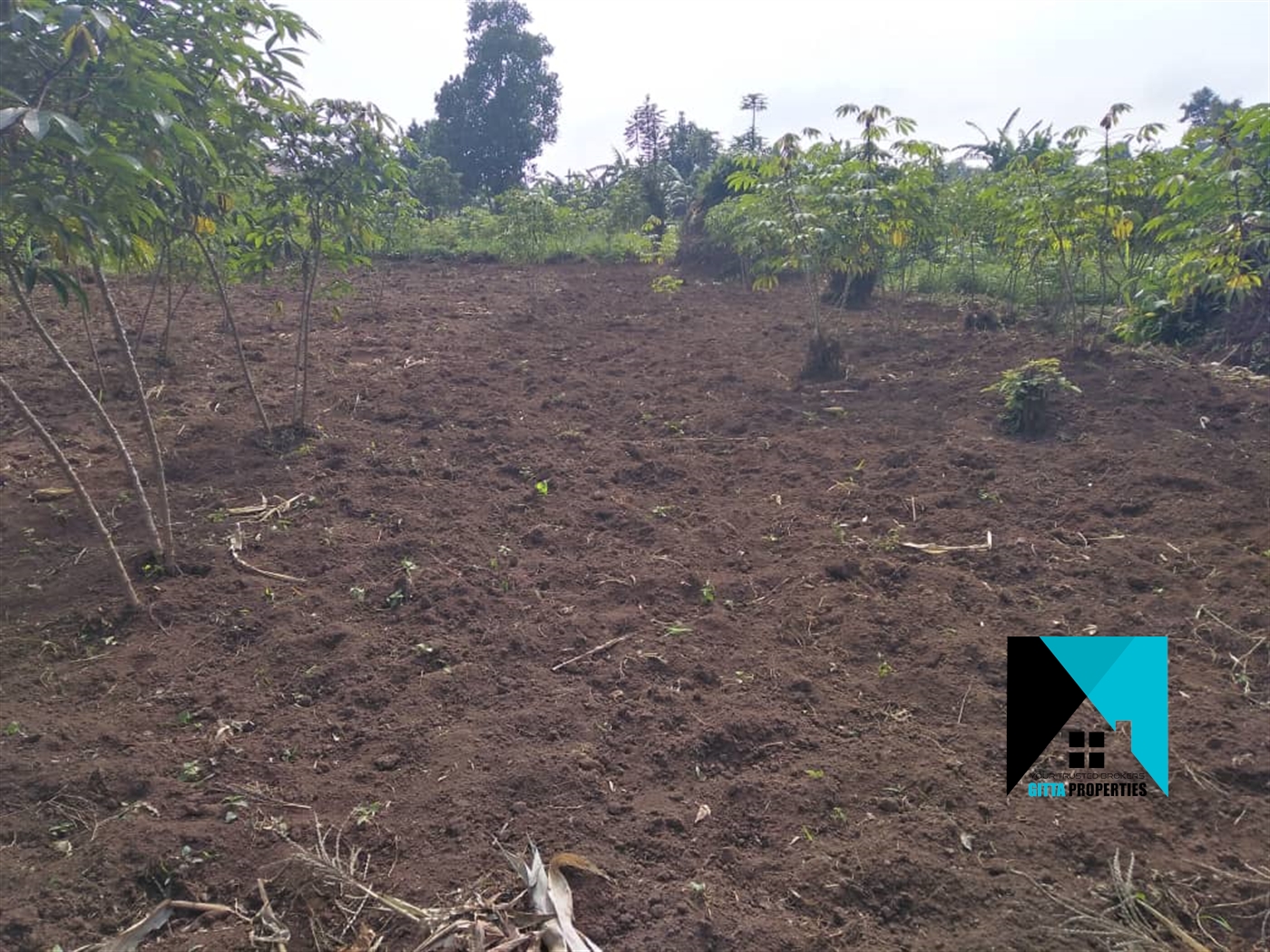 Residential Land for sale in Kyabakadde Wakiso