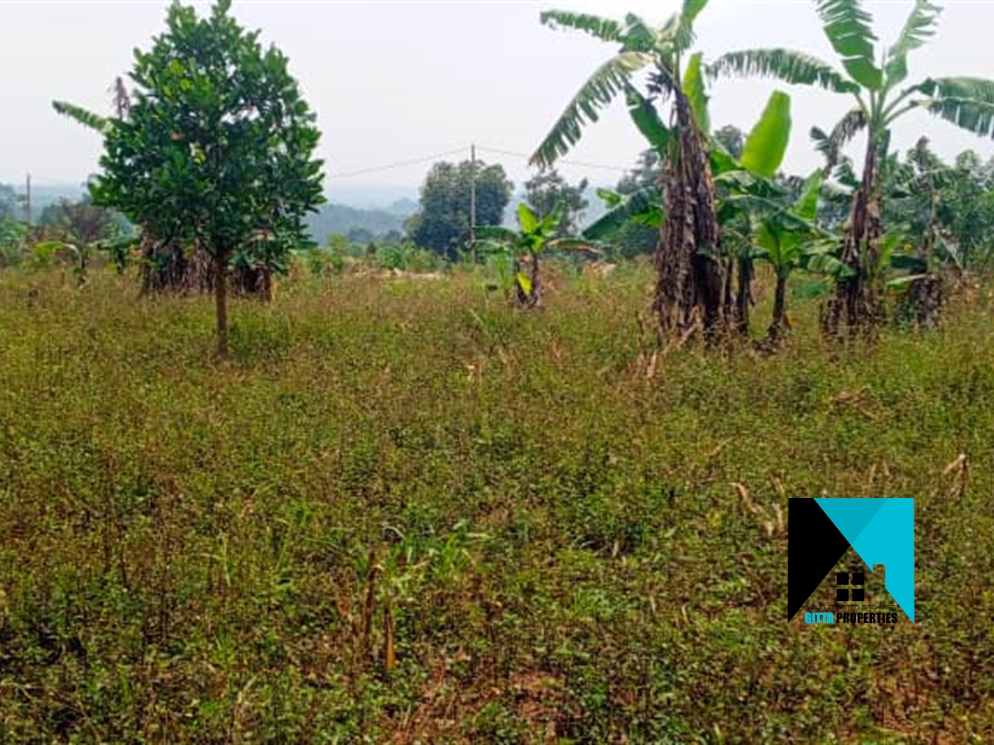 Residential Land for sale in Kavule Wakiso