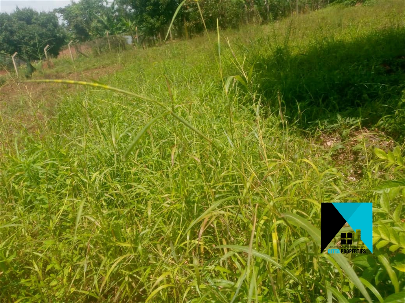 Residential Land for sale in JinjaMisindye Mukono