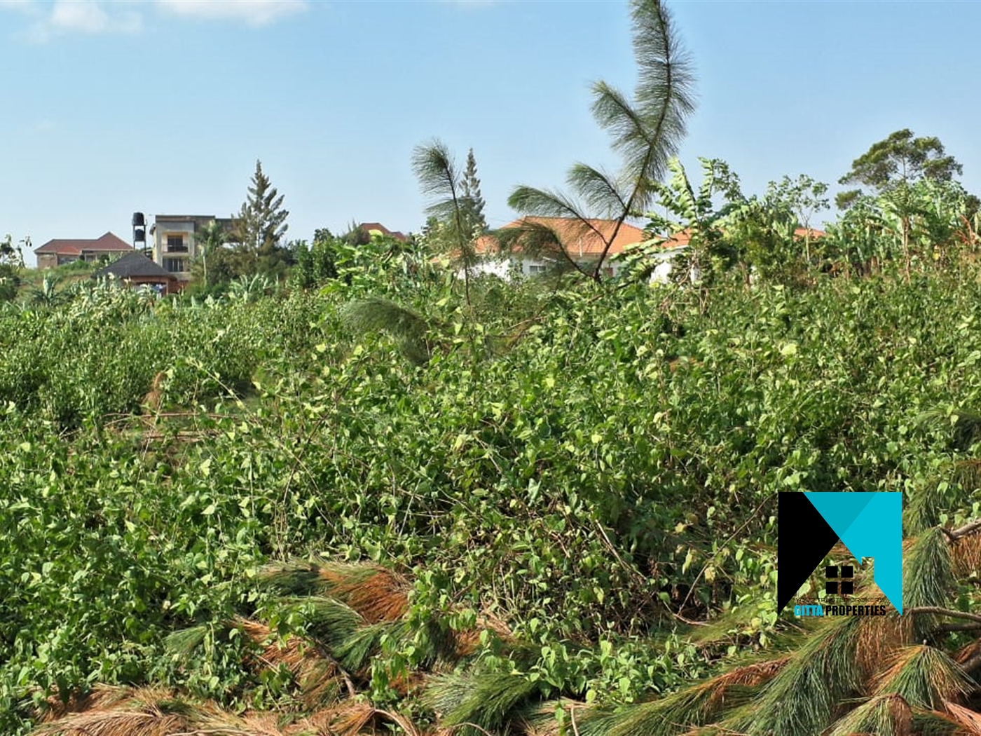 Residential Land for sale in Kiwenda Wakiso