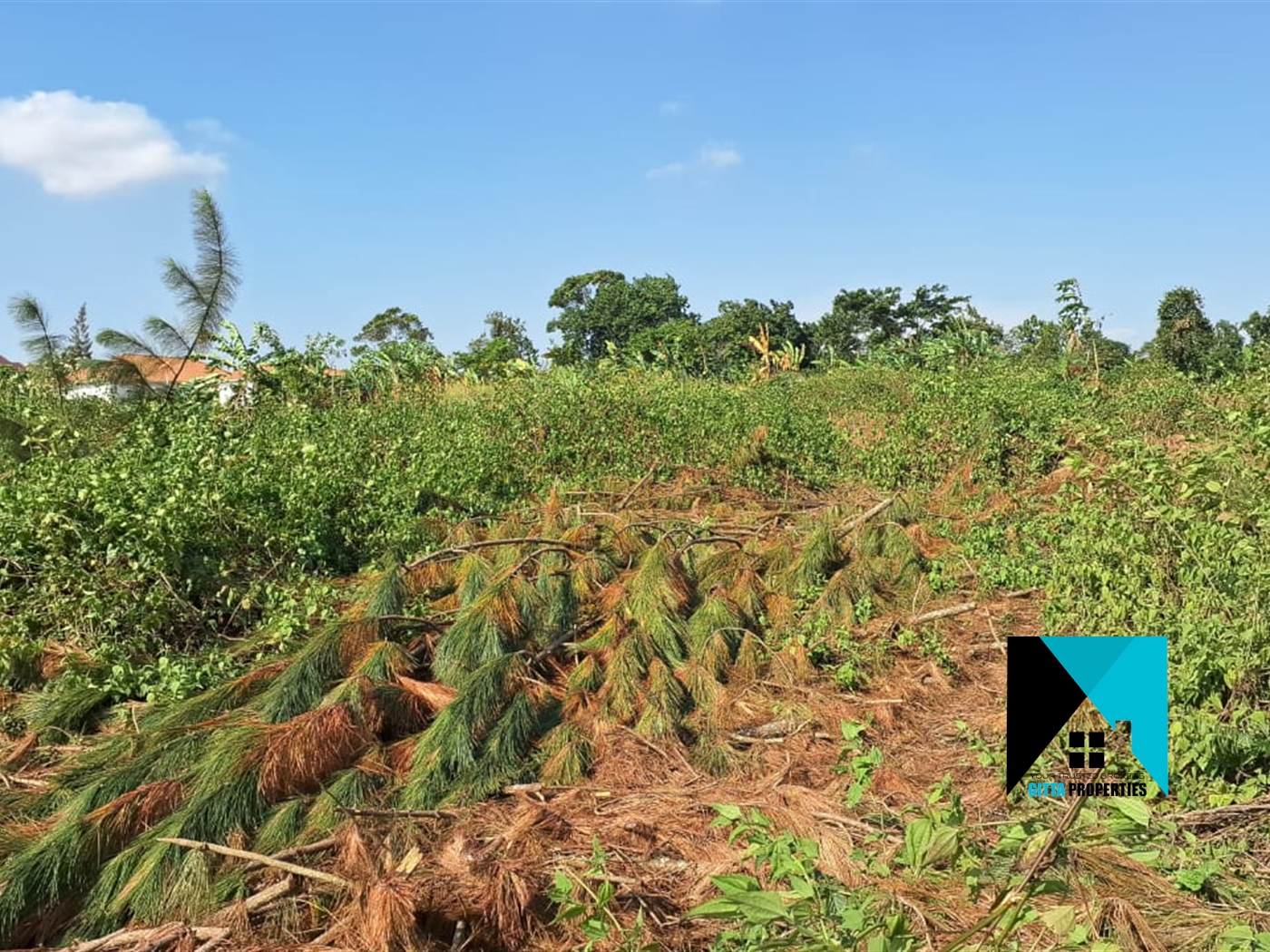 Residential Land for sale in Kiwenda Wakiso