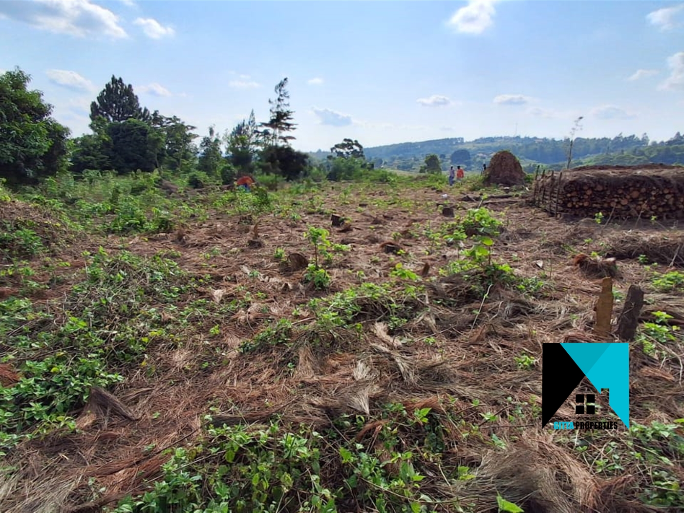 Residential Land for sale in Kiwenda Wakiso