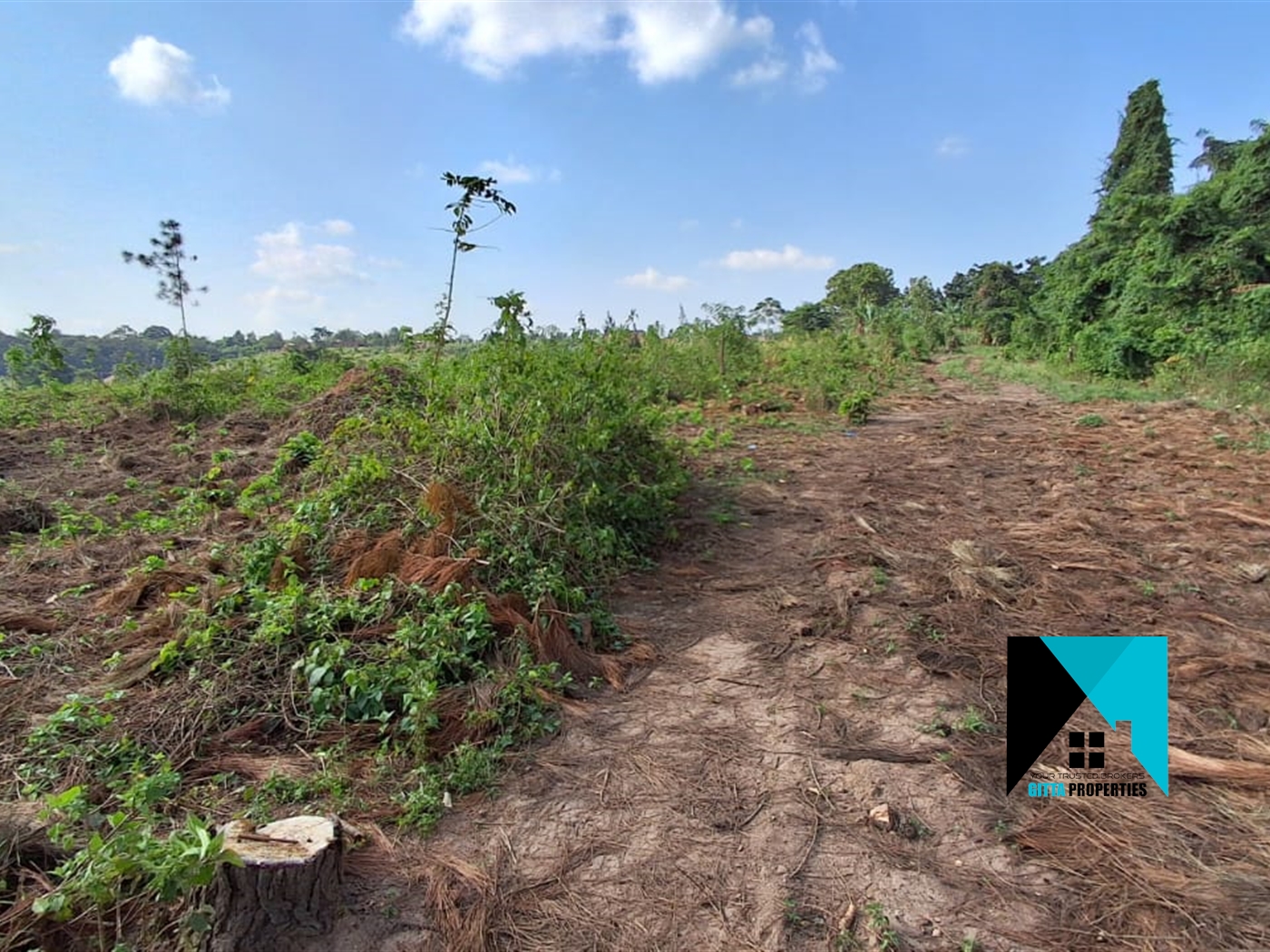 Residential Land for sale in Kiwenda Wakiso