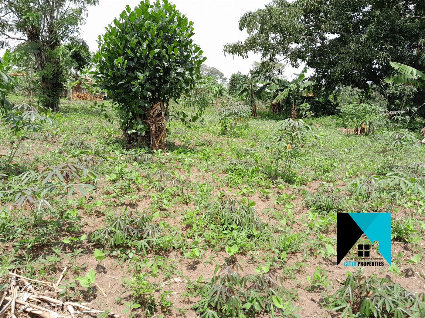 Residential Land for sale in Gobelo Wakiso