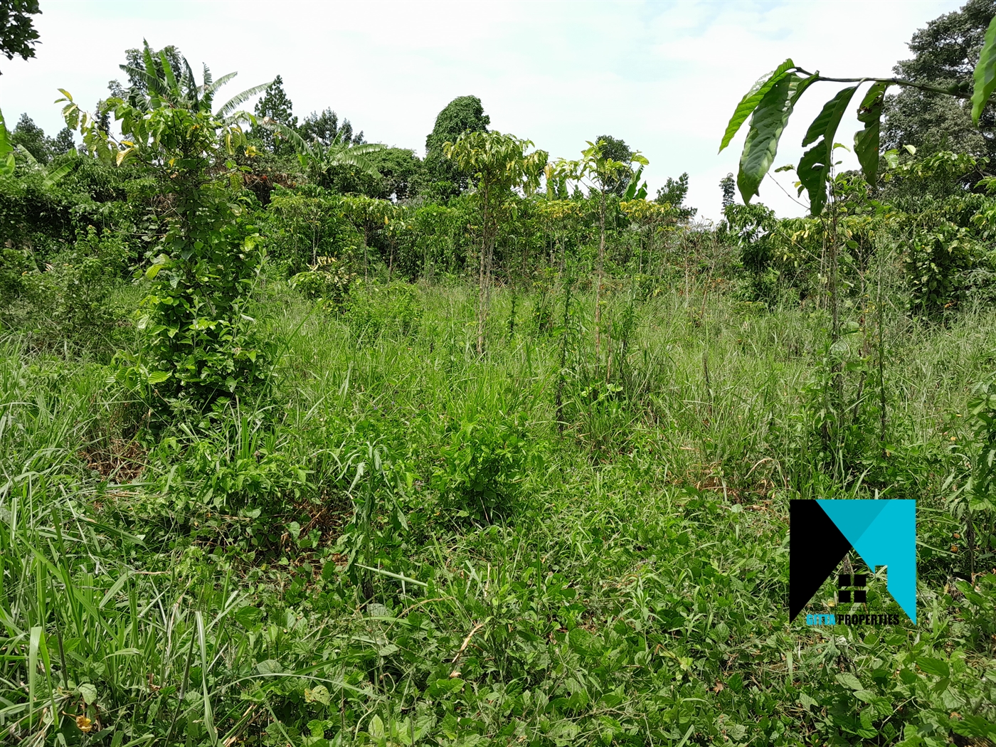 Residential Land for sale in Gobelo Wakiso