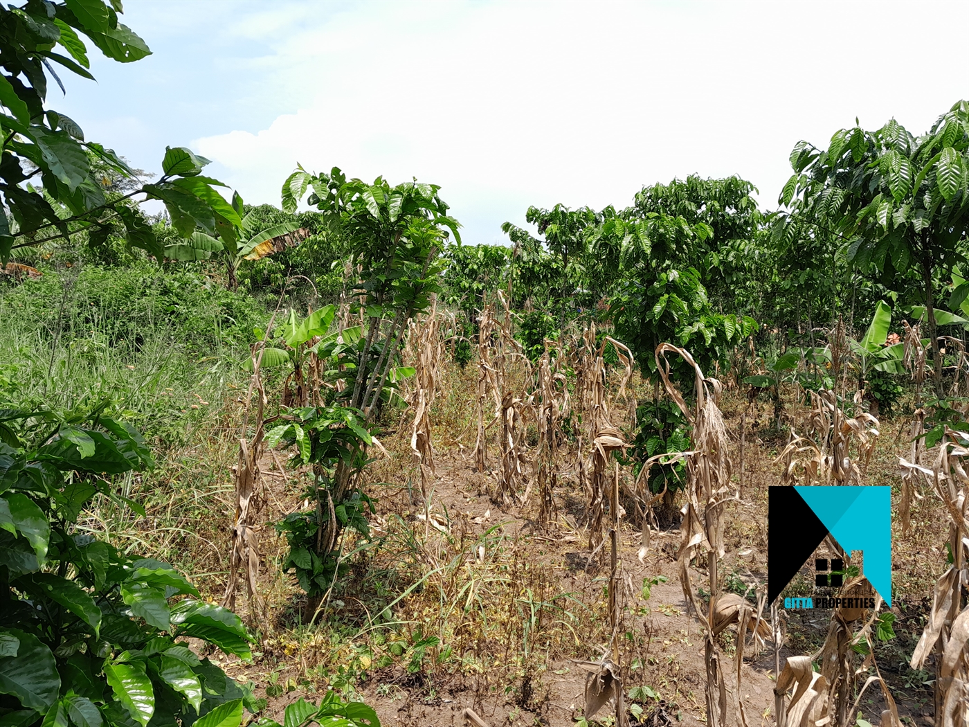 Residential Land for sale in Gobelo Wakiso