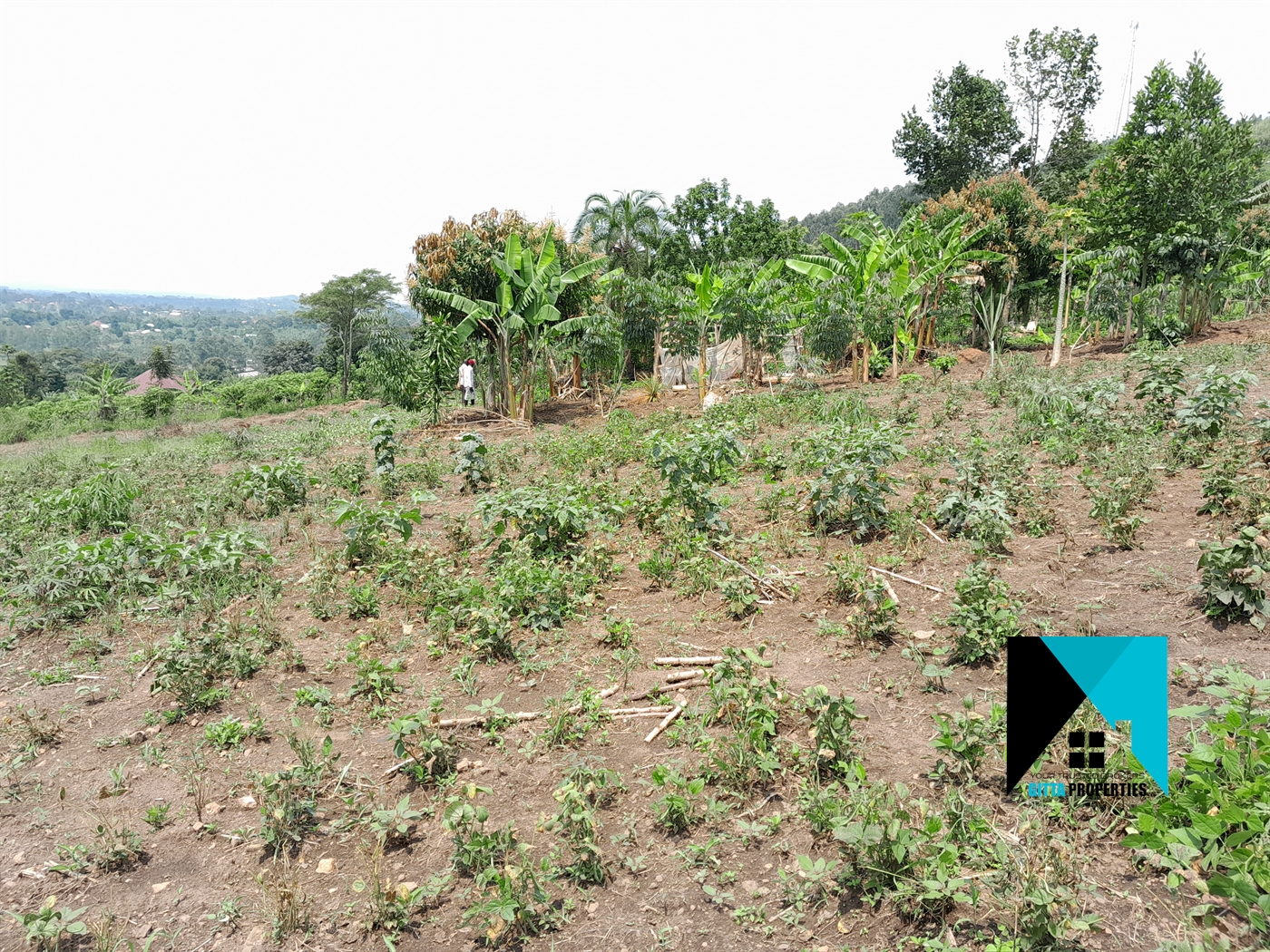 Residential Land for sale in Kikandwa Wakiso