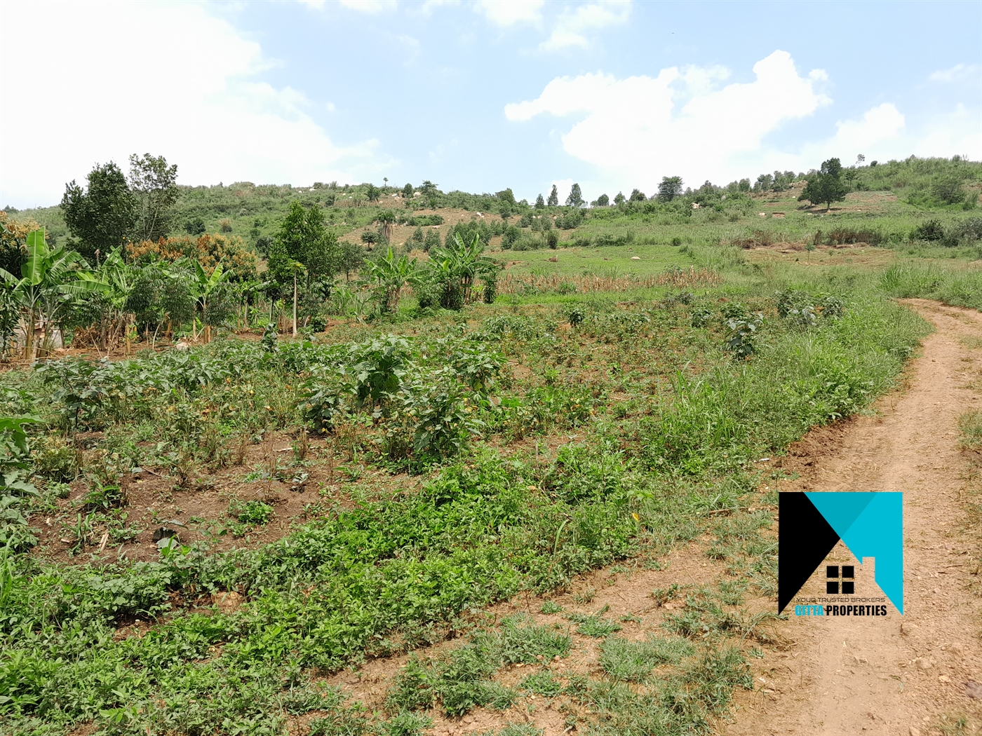 Residential Land for sale in Kikandwa Wakiso