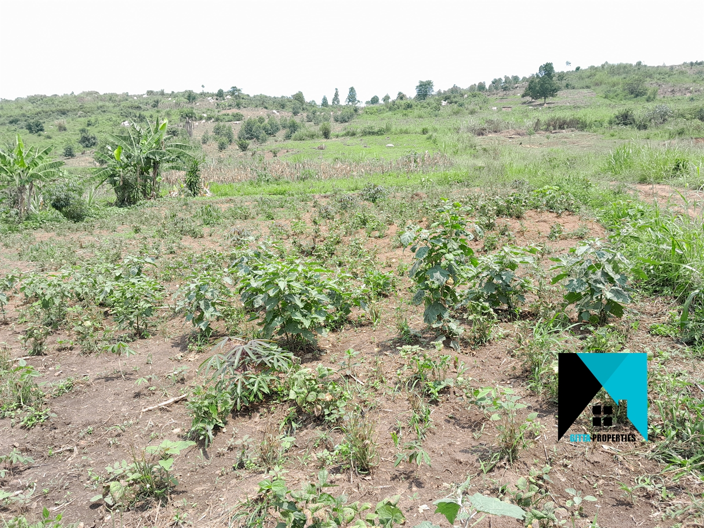 Residential Land for sale in Kikandwa Wakiso