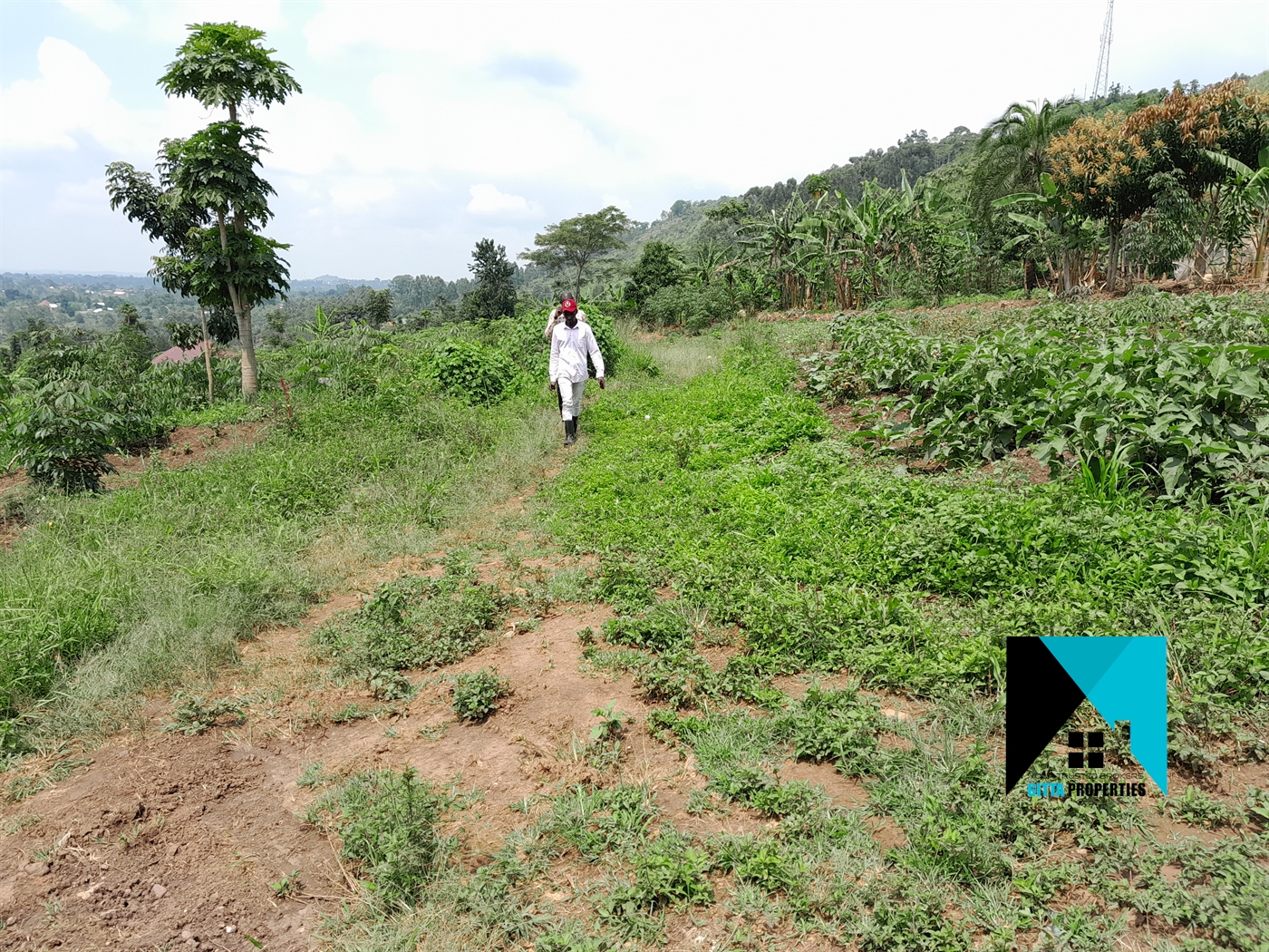 Residential Land for sale in Kikandwa Wakiso