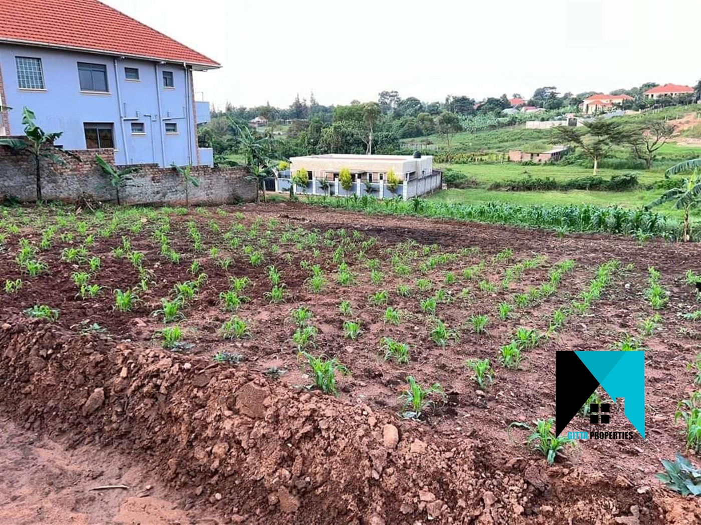 Residential Land for sale in Shimoni Wakiso