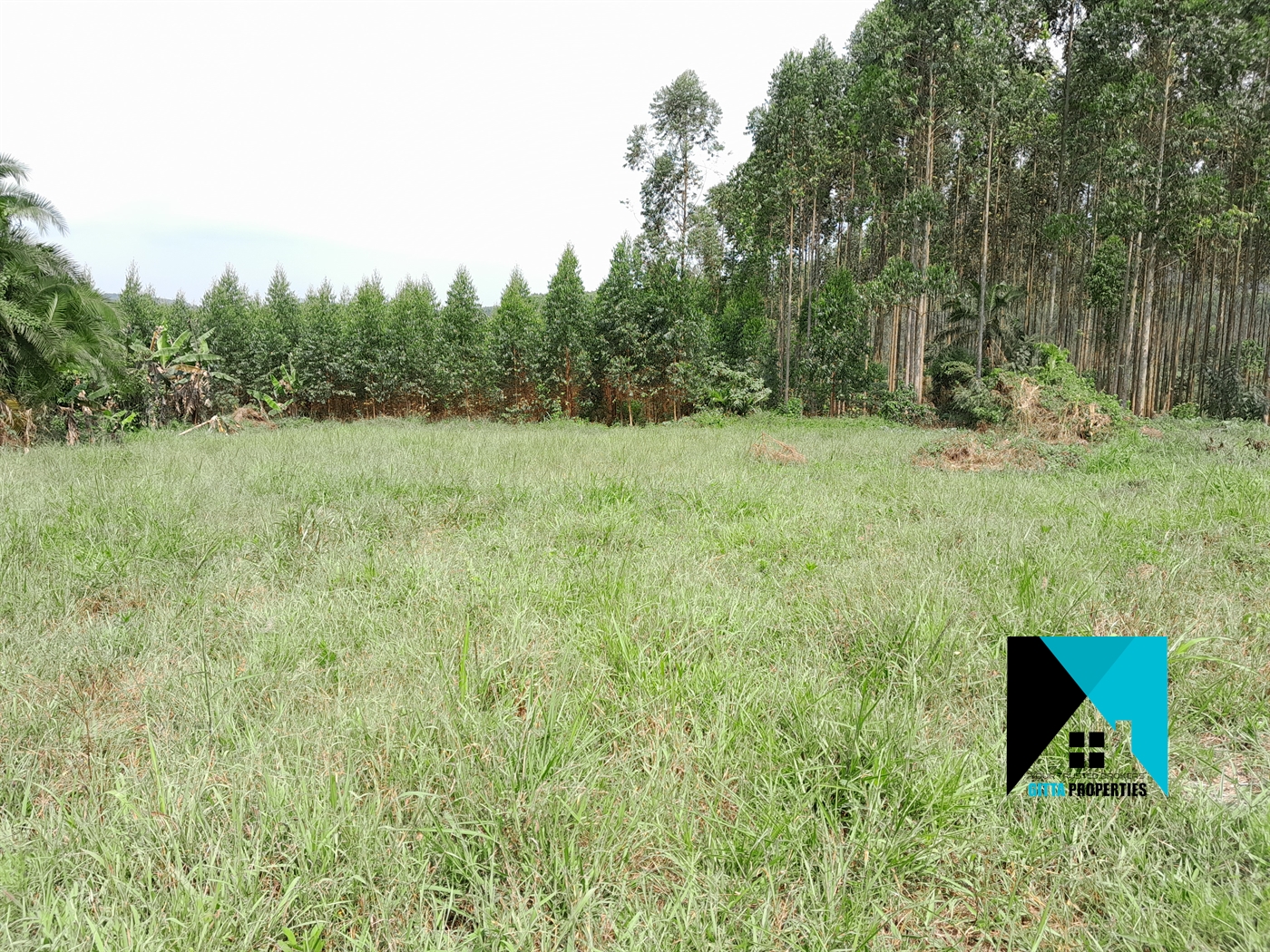 Residential Land for sale in Kakiri Wakiso