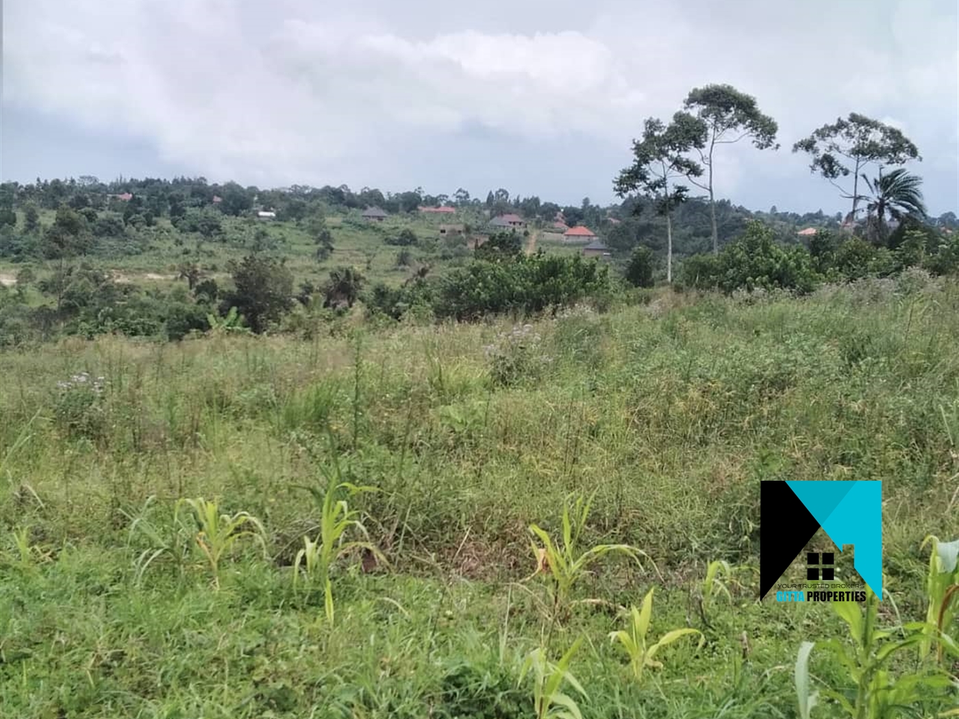 Residential Land for sale in Namayiba Mukono