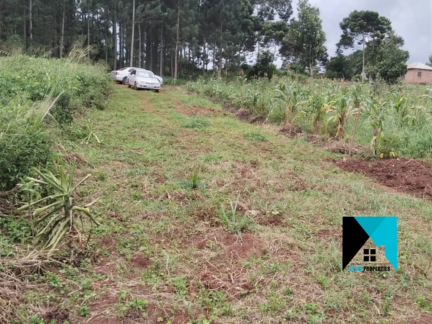 Residential Land for sale in Namayiba Mukono