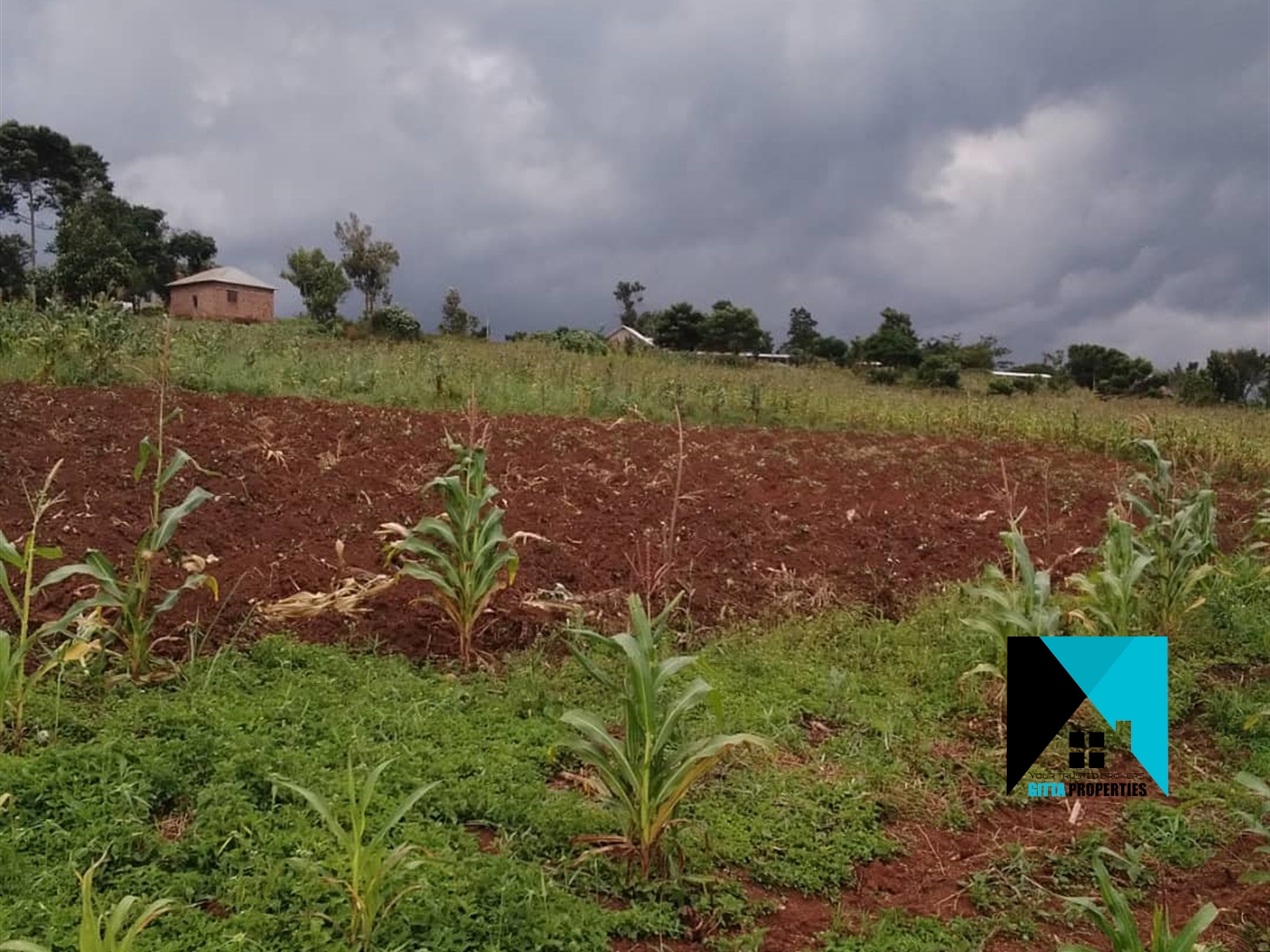 Residential Land for sale in Namayiba Mukono