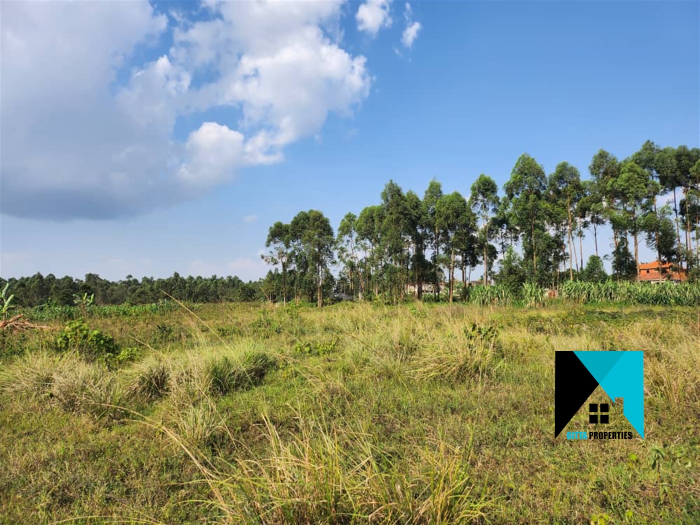 Residential Land for sale in KiraShimoni Wakiso