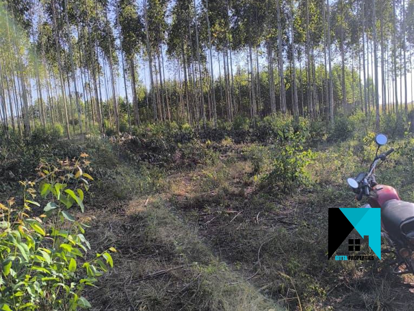 Multipurpose Land for sale in Kakooge Luweero