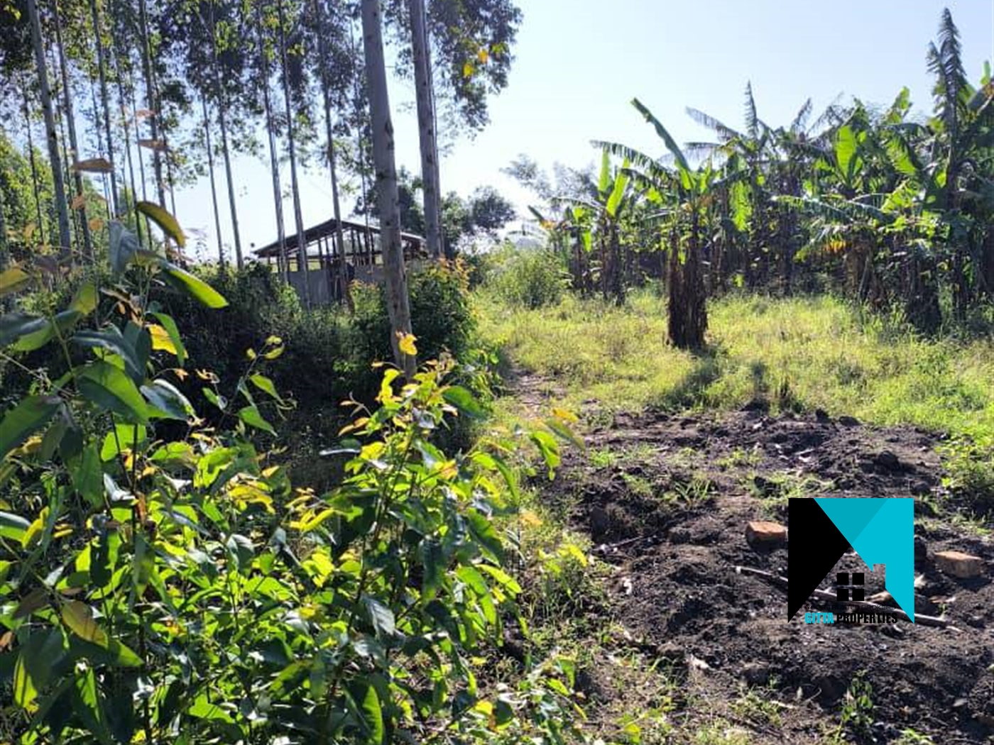 Multipurpose Land for sale in Kakooge Luweero