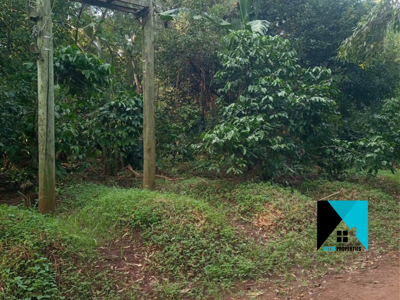 Multipurpose Land for sale in Kiwoko Nakaseke