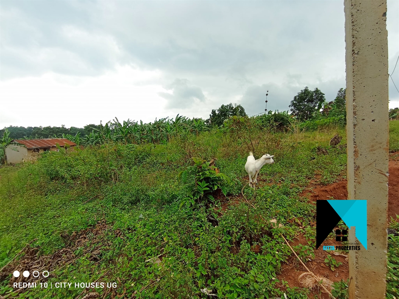 Residential Land for sale in Manyangwa Wakiso