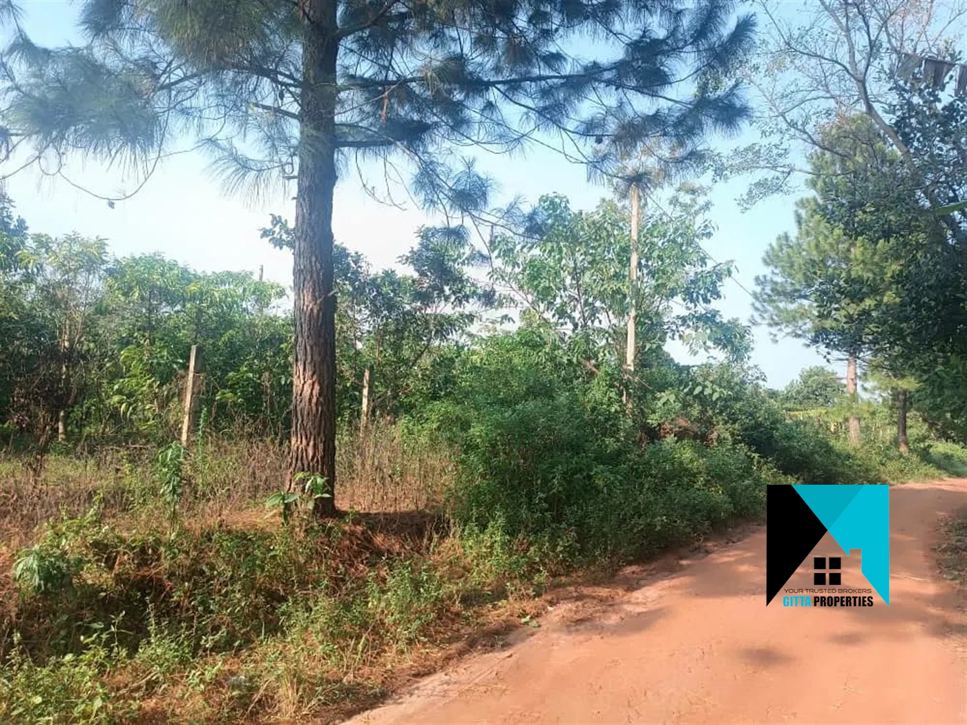 Multipurpose Land for sale in Kiyunga Mukono