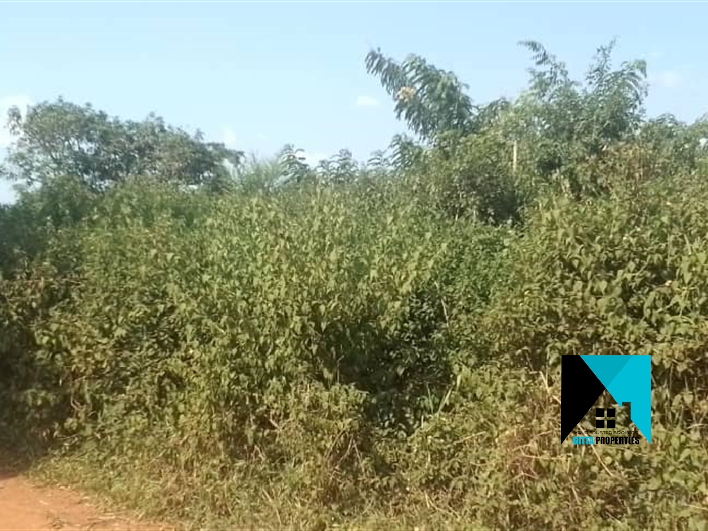 Multipurpose Land for sale in Bakatadde Luweero