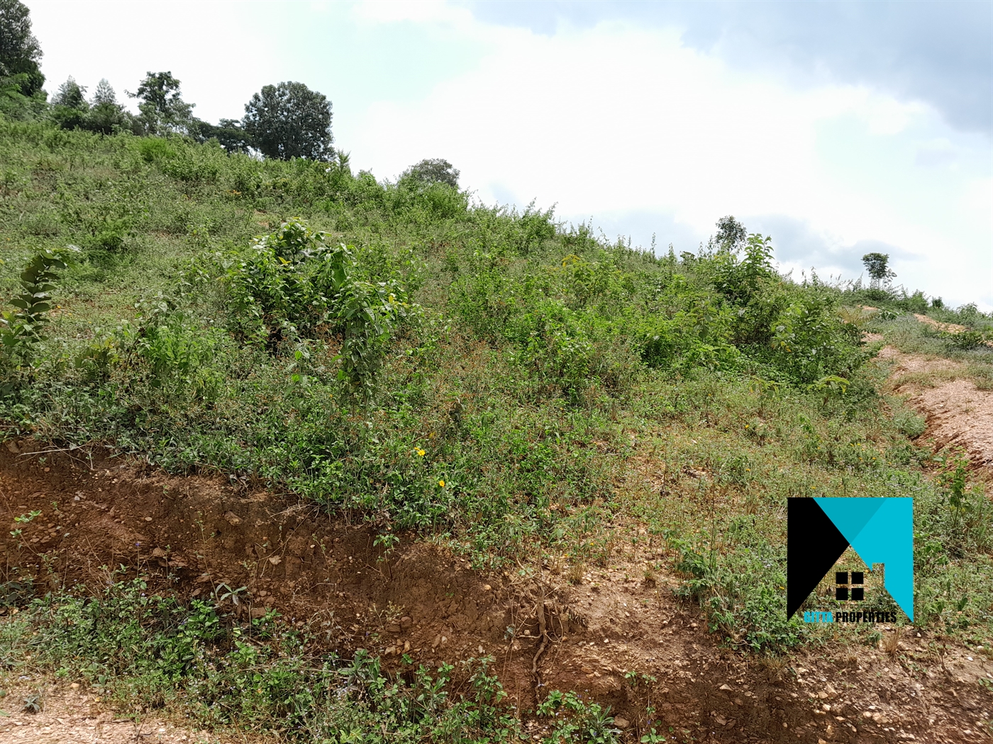 Residential Land for sale in Namulonge Wakiso