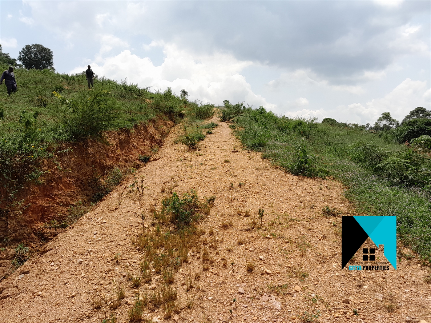 Residential Land for sale in Namulonge Wakiso