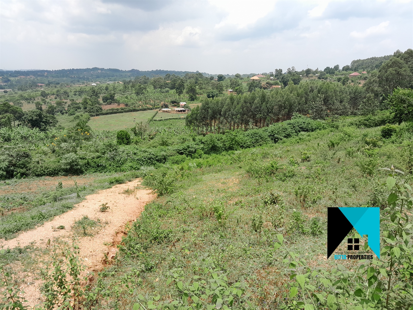 Residential Land for sale in Namulonge Wakiso