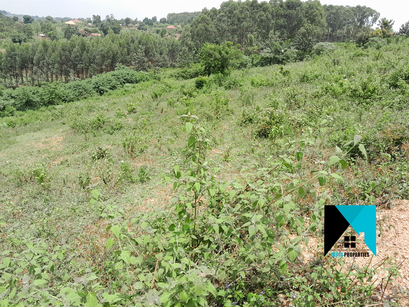 Residential Land for sale in Namulonge Wakiso