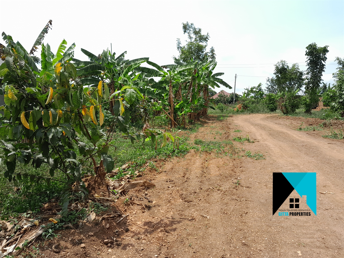 Residential Land for sale in Kiwenda Wakiso