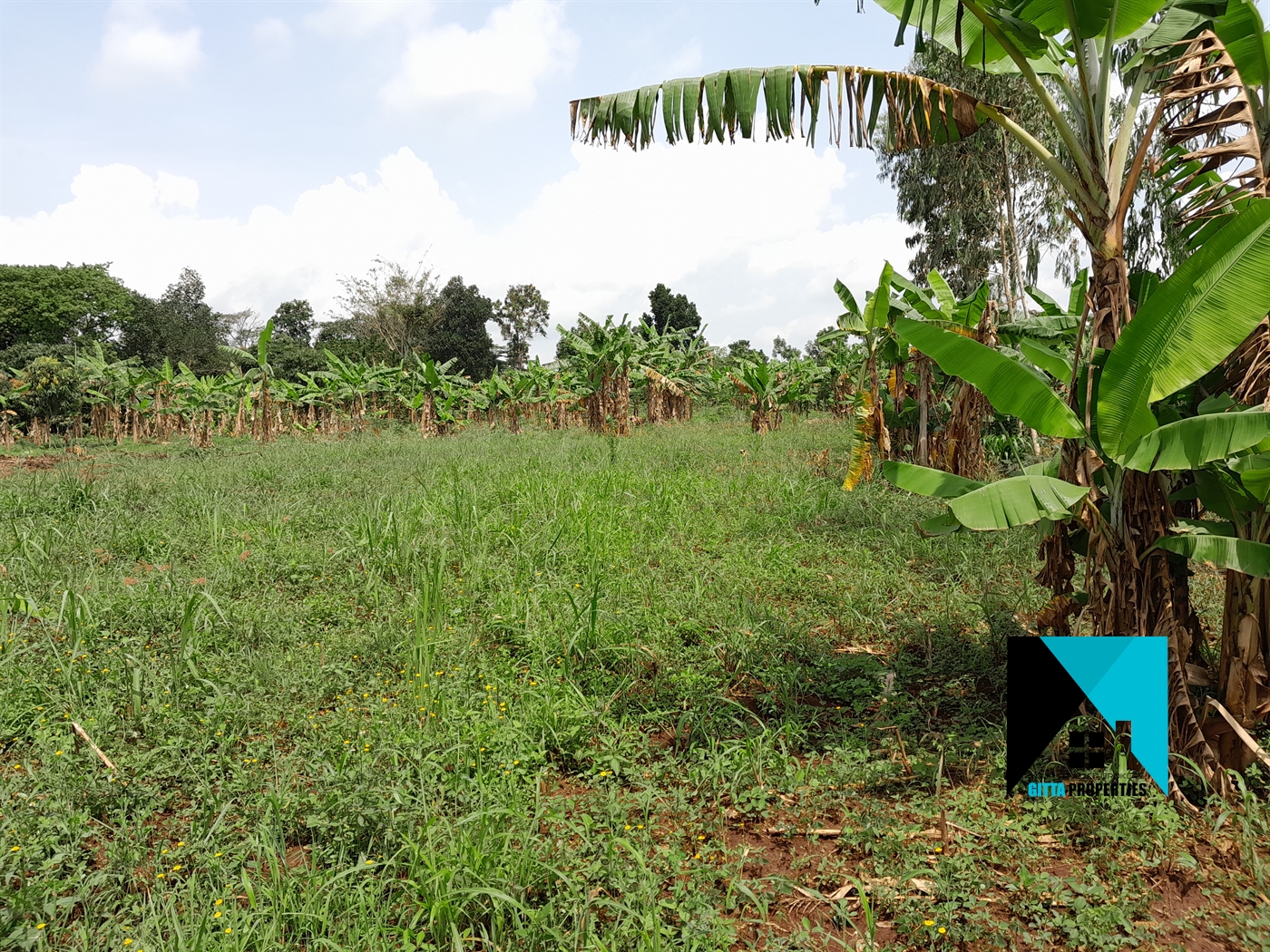 Residential Land for sale in Busiika Wakiso