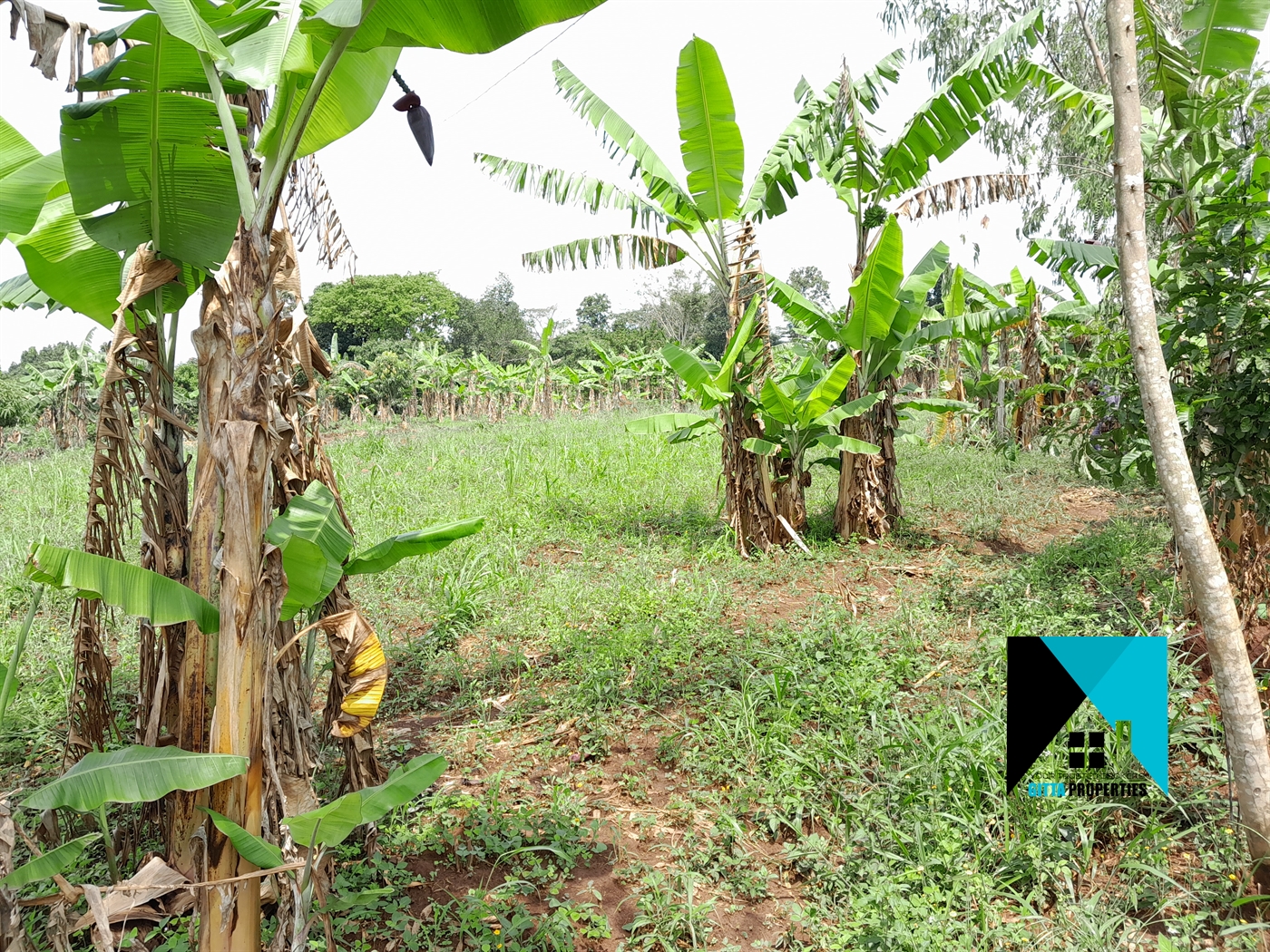 Residential Land for sale in Busiika Wakiso