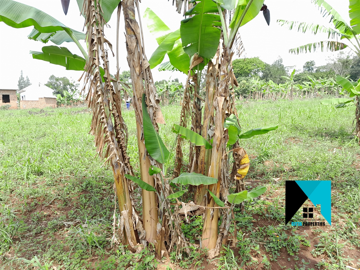 Residential Land for sale in Busiika Wakiso