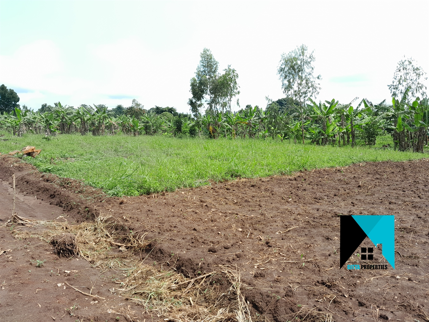 Residential Land for sale in Busiika Wakiso