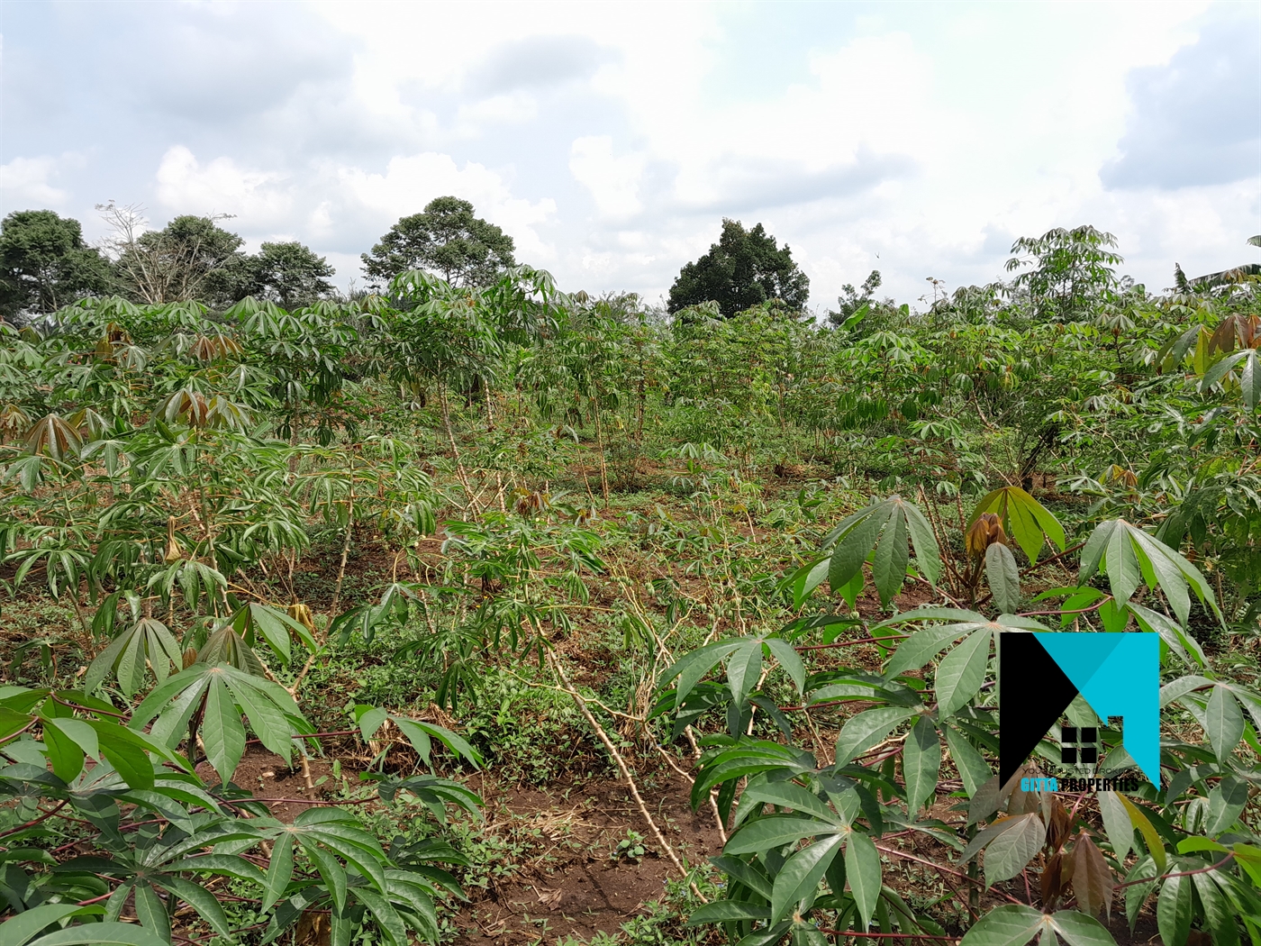 Residential Land for sale in Busiika Wakiso