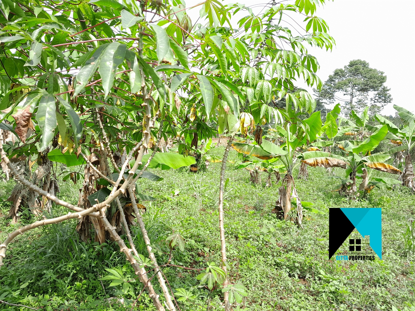 Residential Land for sale in Busiika Wakiso