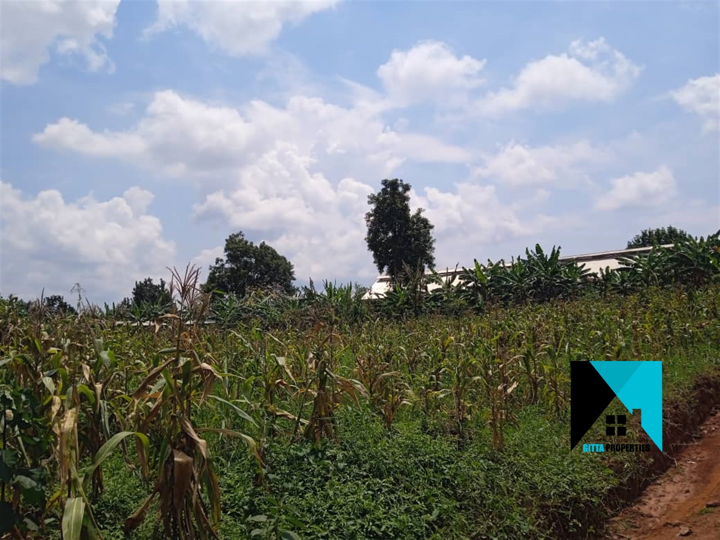 Residential Land for sale in Kiwenda Wakiso