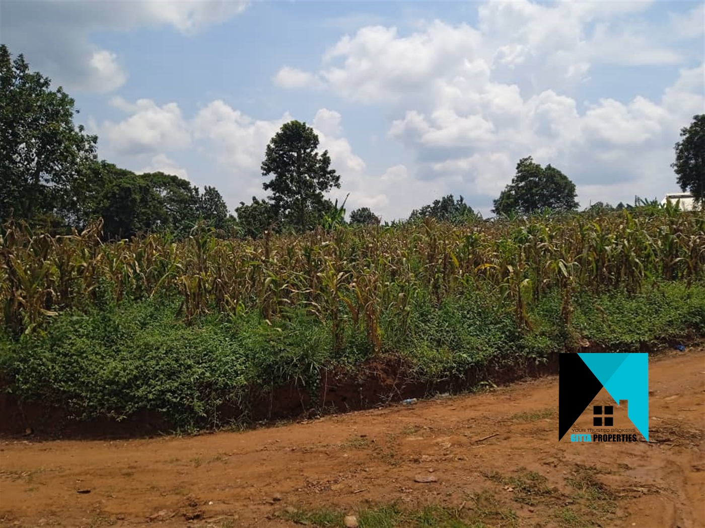 Residential Land for sale in Kiwenda Wakiso