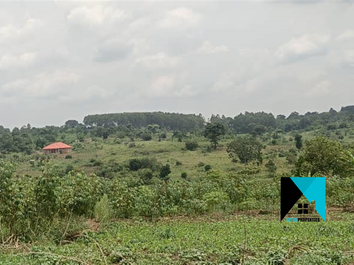 Multipurpose Land for sale in Kiwenda Wakiso