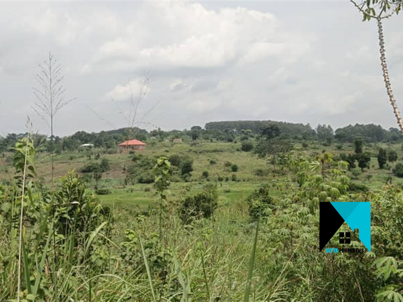 Multipurpose Land for sale in Kiwenda Wakiso