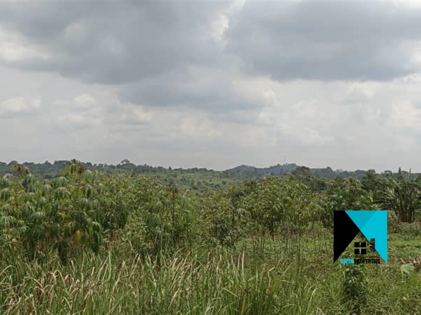 Multipurpose Land for sale in Kiwenda Wakiso