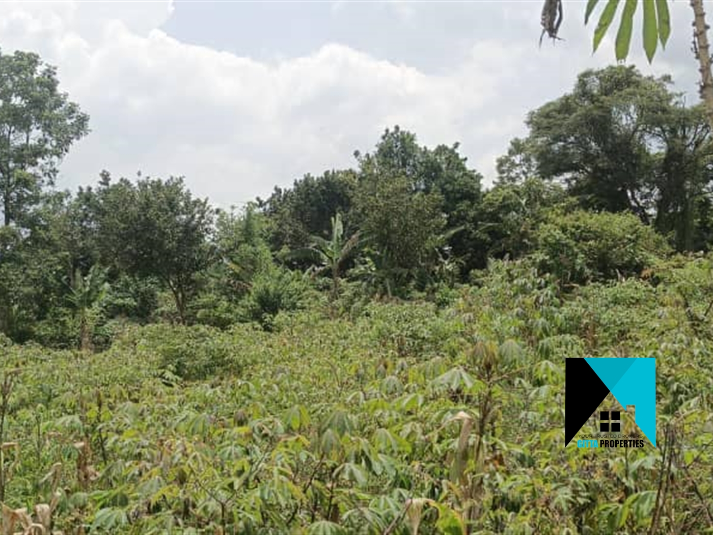 Multipurpose Land for sale in Kiwenda Wakiso