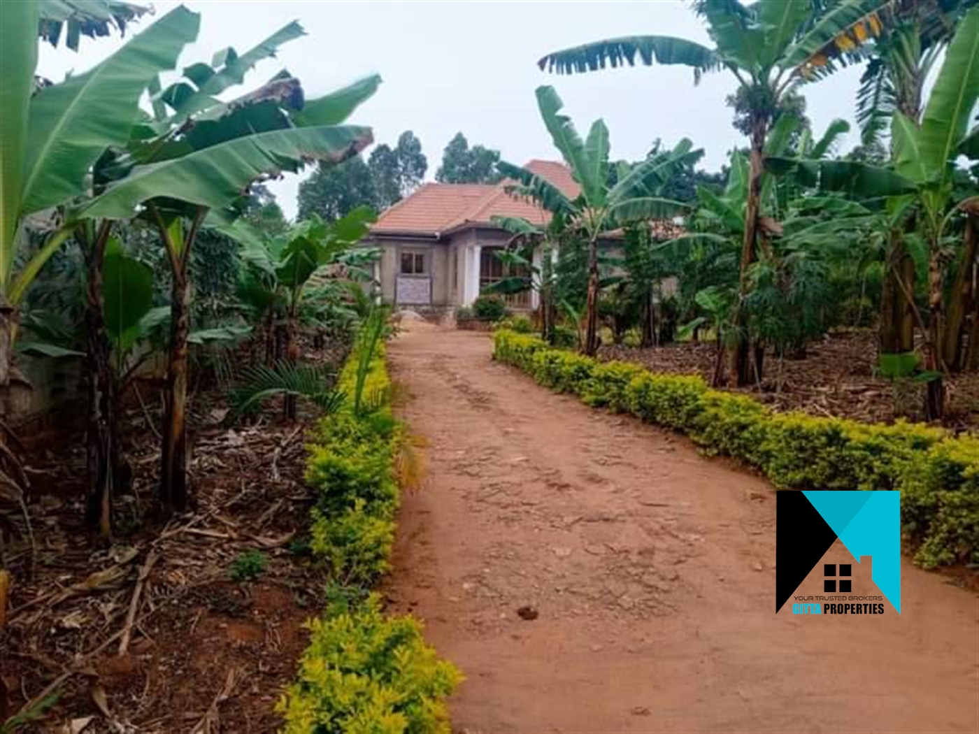 Bungalow for sale in SselinyaWakiso Wakiso