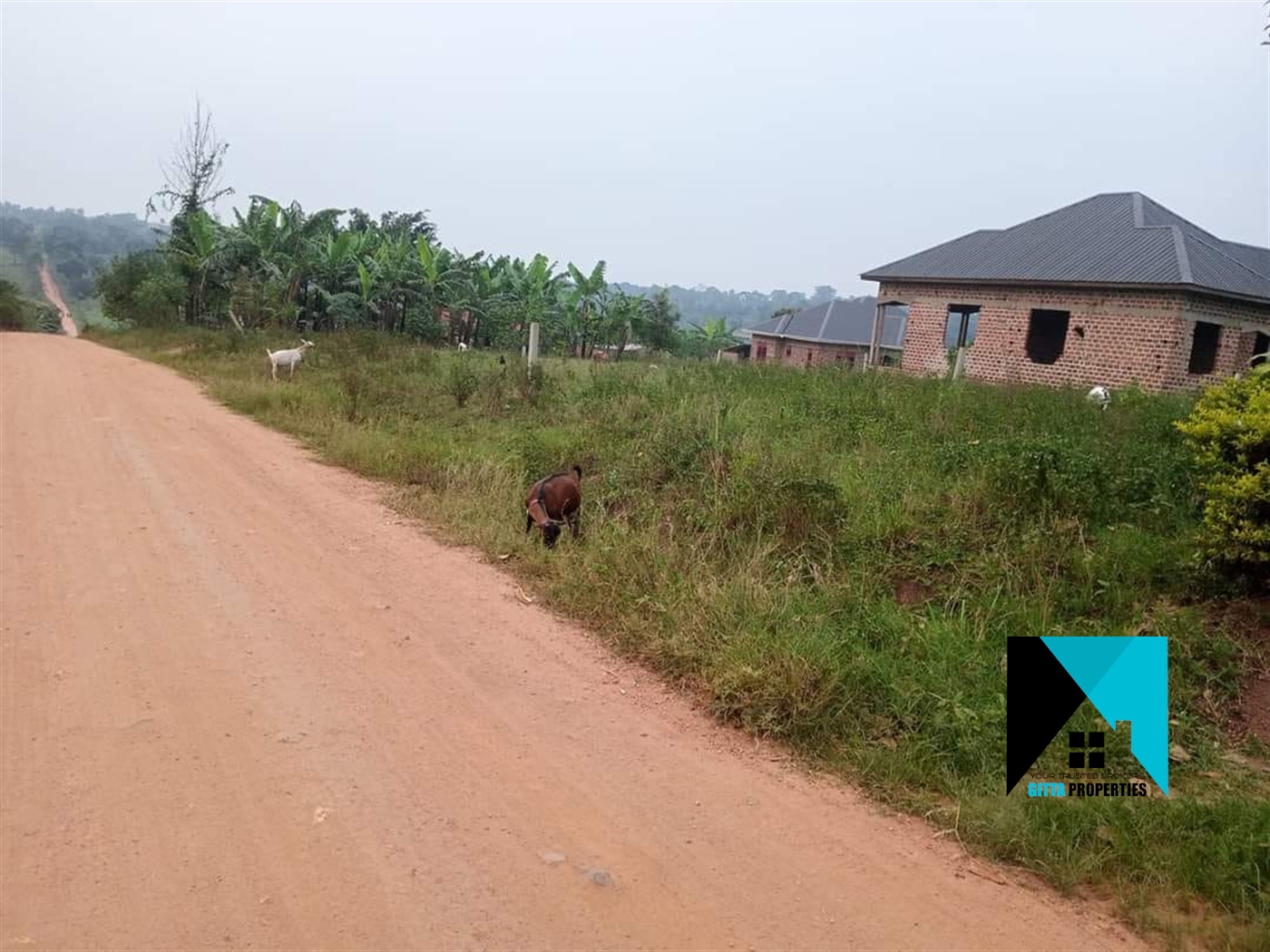 Residential Land for sale in Kitugwa Wakiso